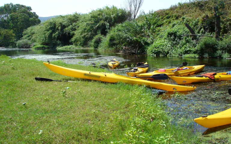 Discese fluviali in canoa